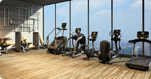 lifefitness 探球