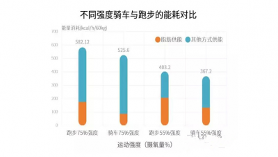 探球体育官方网站图片